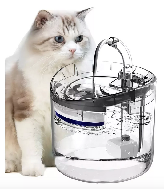 🥄 Bebedero de agua para mascotas