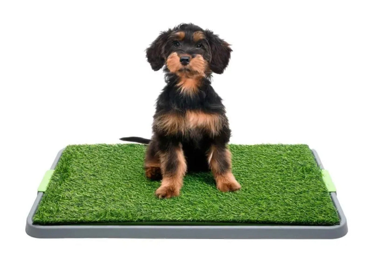 🧺Tapete para mascotas medida de 68x41cm