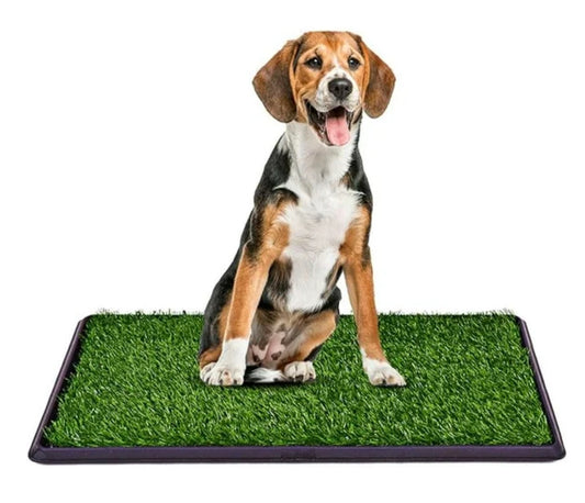 🧺Tapete para mascotas medida de 68x41cm